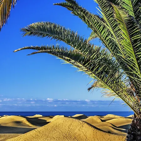 By Playa De Canteras Holiday home Las Palmas de Gran Canaria